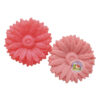 Міка косметична “Coral Pink Mica” (США), 10 г