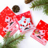 Целофановий пакетик “Merry Christmas/Дід Мороз” з клейкою стрічкою, 10*10 cм + 3 см